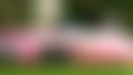 2004 Ford Thunderbird FAB 1 Concept