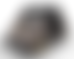 2025 Citroën Ami Buggy Palmeira