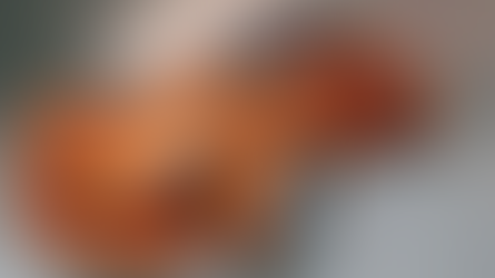 2005 Magna Steyr MILA Concept