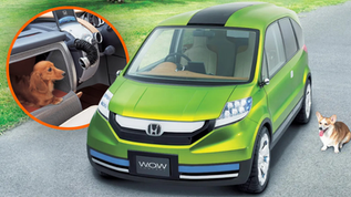 The 2005 Honda W.O.W. Concept Let Dogs Drive with Brainwaves