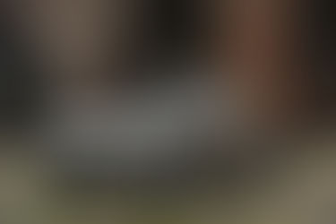 1960 Bristol GT 406 Z by Zagato