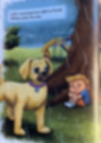 Thumbnail: Wonder Dogs-Caught in a Thunderstorm (Hardback)