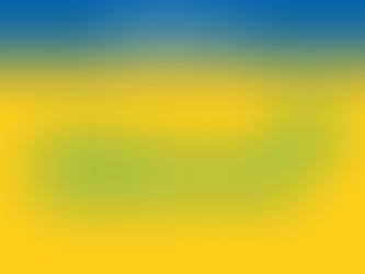 Account Manager Longtail - Georgia 