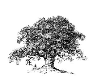 Doodles-55.jpg