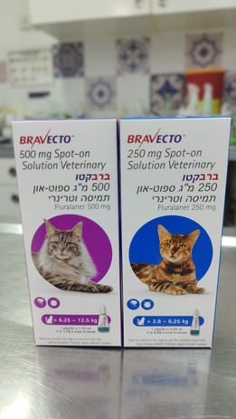 ברווקטו אמפולות נגד פרעושים וקרציות חתולים בדרום וט ניר.jpeg