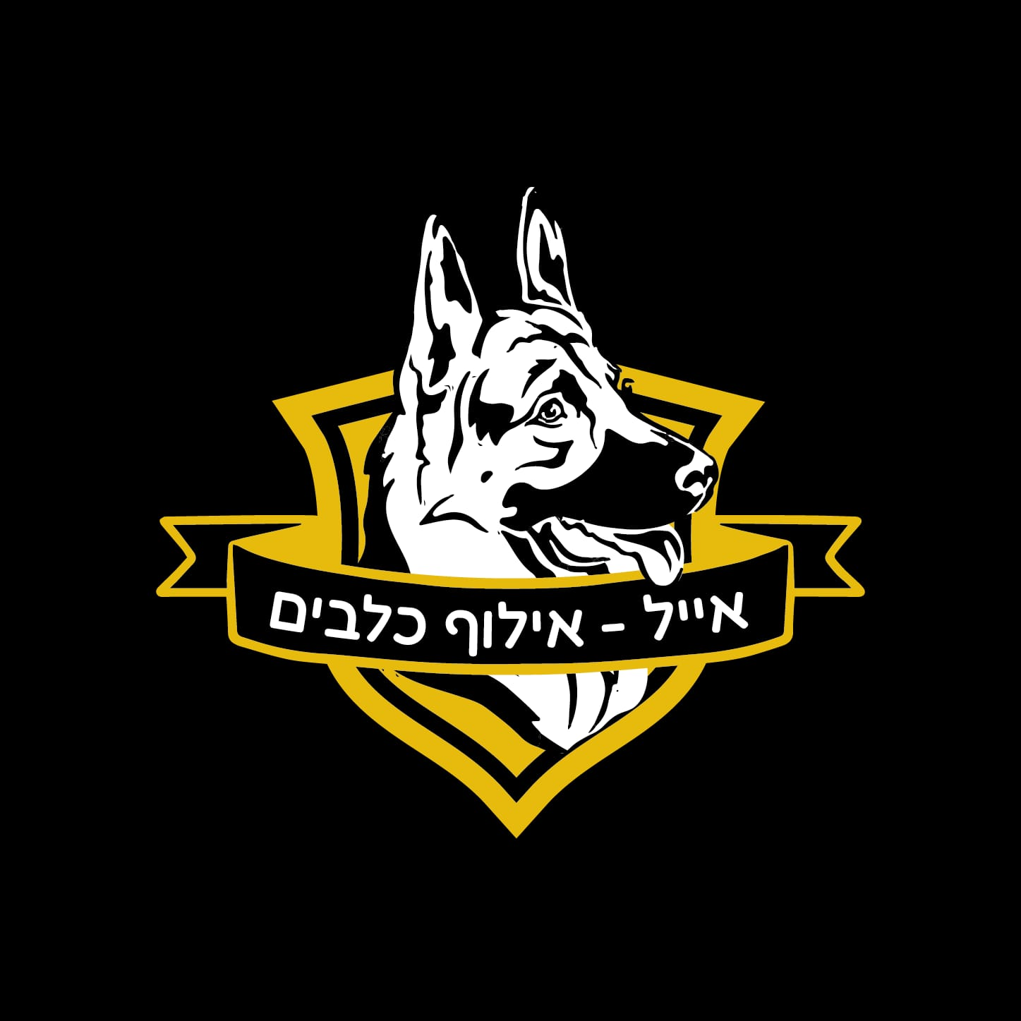 אייל אילוף כלבים