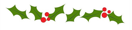 Christmas holly.jpg