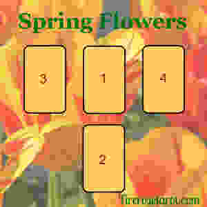 Tarot , Tarot Reading