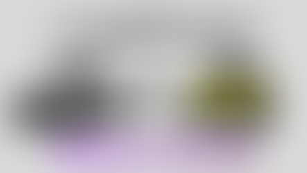 TATA PUNCH: EV vs ICE