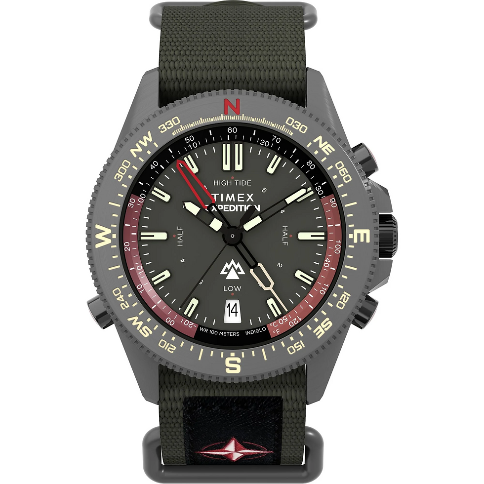 Timex Expedition North Series