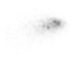 spruzzocolore