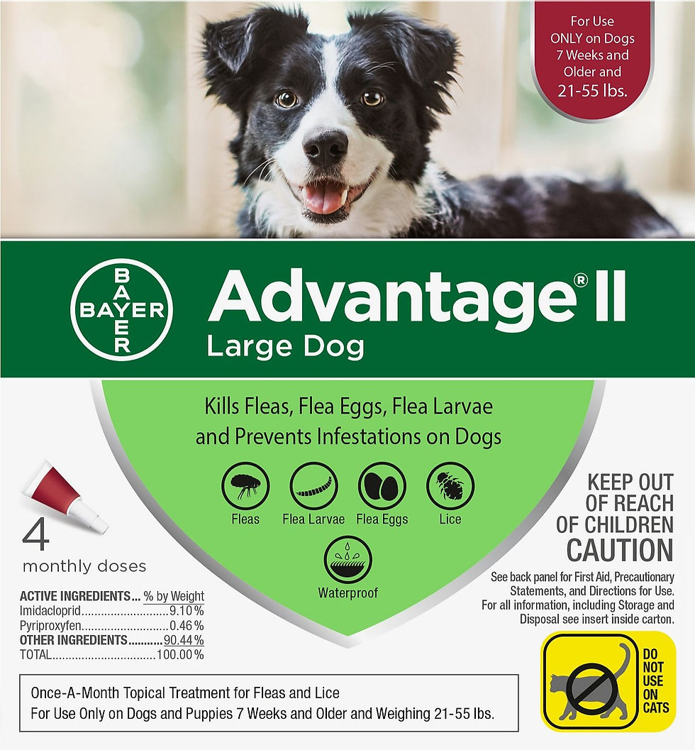 Thumbnail: ADVANTAGE - DOG