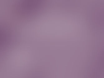 The thing I never put on my website