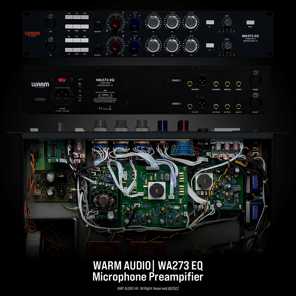 縮圖：Warm Audio | WA273-EQ