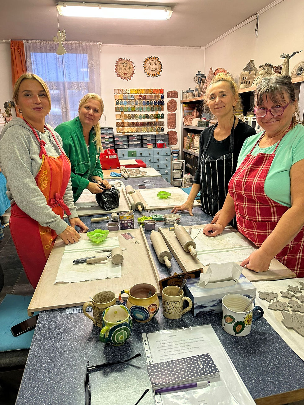 Realizujeme také doplňkové rozšiřující přednášky a praktické workshopy