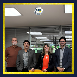 ACE participa de reunião do GT de Desenvolvimento Urbano e Habitação do CONFEA em Brasília
