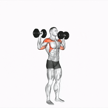 1. Dumbbell overhead press.