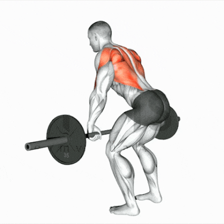 Bent over barbell row.