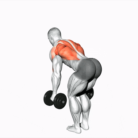 1. Dumbbell pulling in tilt.