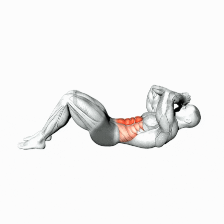 Abdominal crunch.