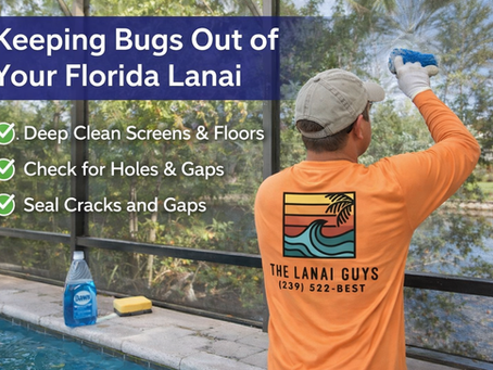 🦟 Keep the Bugs Out: How to Keep Your Lanai Fresh, Clean, and Bug-Free