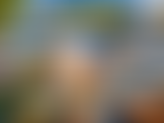 Dock cleaning and maintenance guide in Minnesota with algae removal and repair for wood, aluminum, composite, and floating docks.