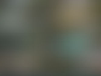 Designing the Perfect Outdoor Living Space: Benefits of a Lanai in Florida for Cape Coral & Fort Myers Homes