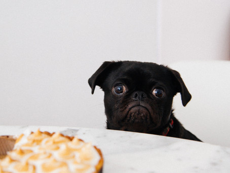 What Your Cravings Really Mean and How You Can Stop Them