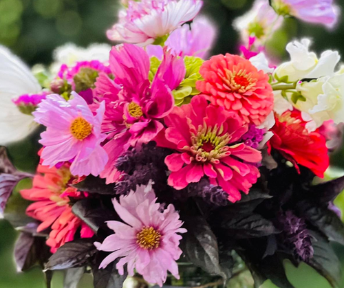 2026 Flower Subscription | Wendland Family Farm