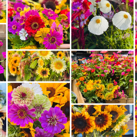 Farm Fresh Blooms