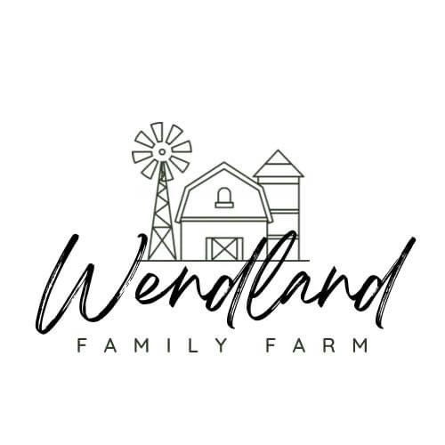 Home Wendland Family Farm Home Holland Lop Bunnies West Point, IA