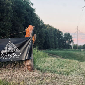 Wendland Family Farm entrance at sunset.