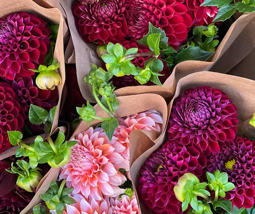 2026 Flower Subscription | Wendland Family Farm