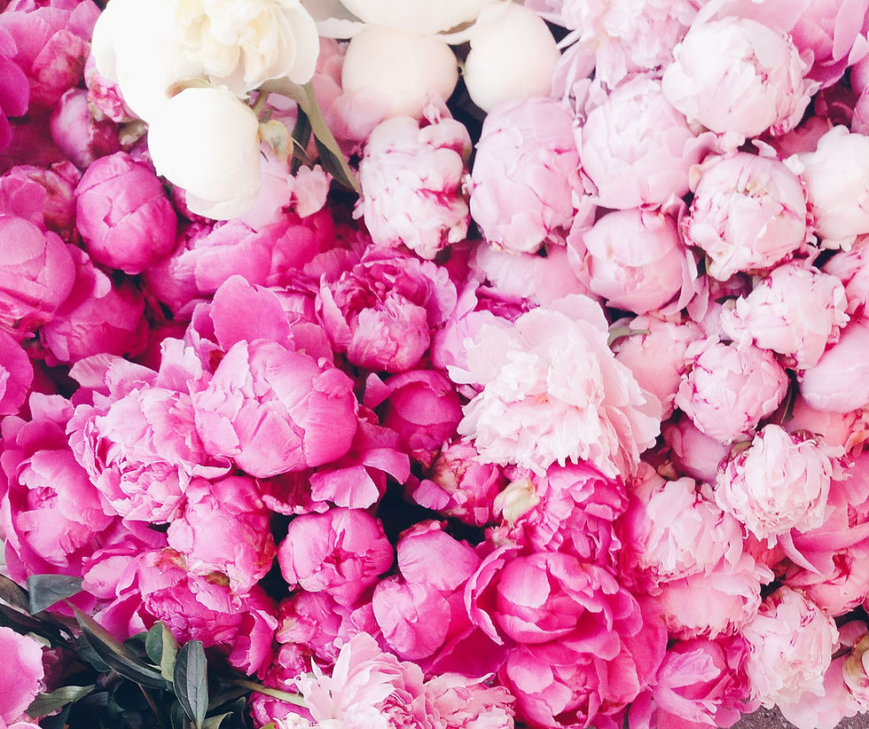 Thumbnail: 2026 Flower Subscription