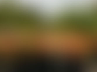 Buckets of fresh blooms harvested fresh from Wendland Family Farm