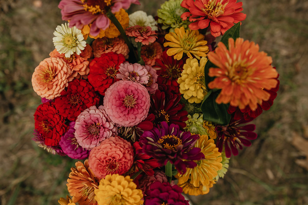 A beautiful bucket of zinnias