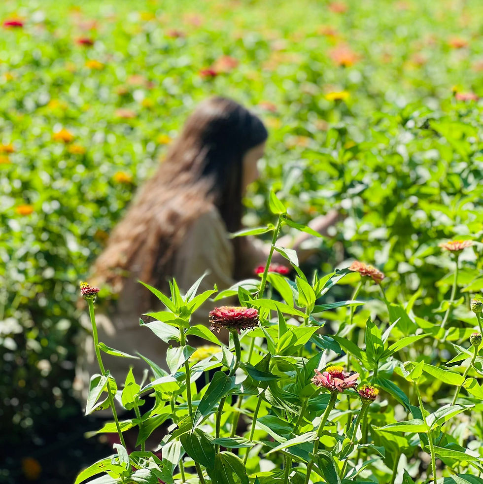Thumbnail: 2027 Junior Flower Farmer Membership