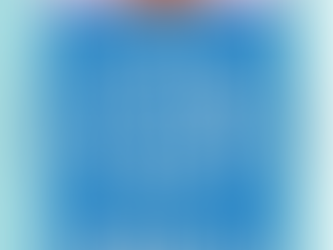 Young Expats Guide To Mexico - San Pancho Authors