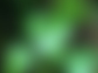 Our Cleaning Protocols for COVID-19