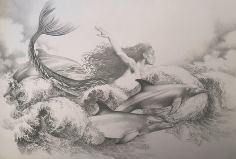 Pencil drawing of a mermaid swimming with dolphins in the ocean. pencil illustration by Bonnie Hawkins