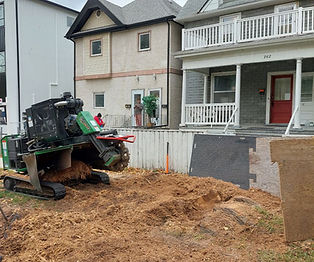 Stump removal in Winnipeg