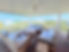 9964370684-2.jpeg