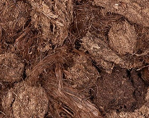 20-40mm(vidus)_edited.jpg