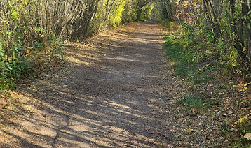 20231009_151529.jpg