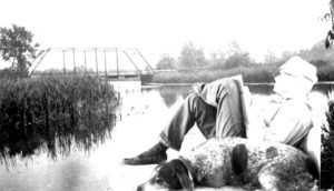 Paw Paw River Journal