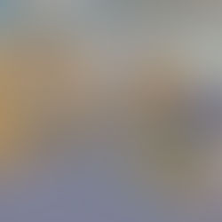 Growing bright futures at Flowers Early Learning Center