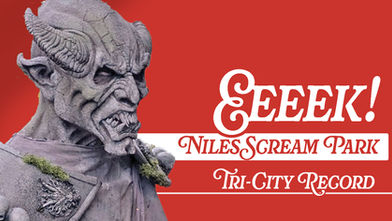 Niles Scream Park serves horror, support to community