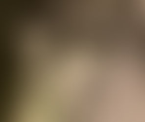 A love of 70 years that began at the altar: Celebrating the Koshars this Valentine’s Day