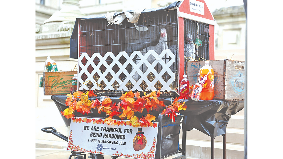 Governor Whitmer pardons Thanksgiving turkey sisters Faygo & Vernors