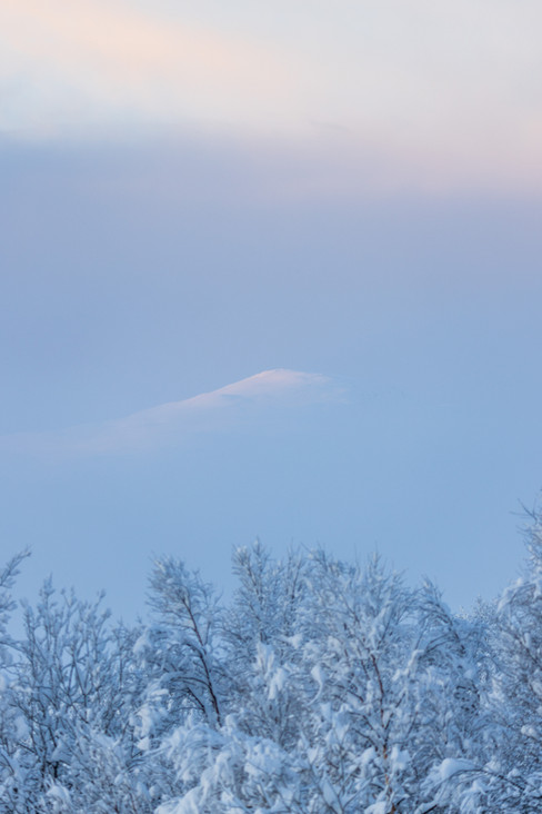 Une montagne blanche se devine au loin dans la brume. Les arbres enneigés devant paraissent comme figés.